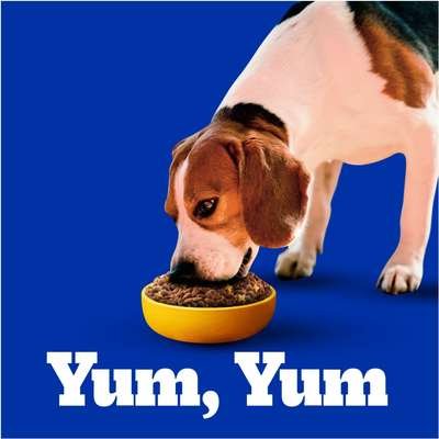 Ração Seca Pedigree Carne e Vegetais para Cães Adultos Raças Pequenas e Minis - Imagem 3