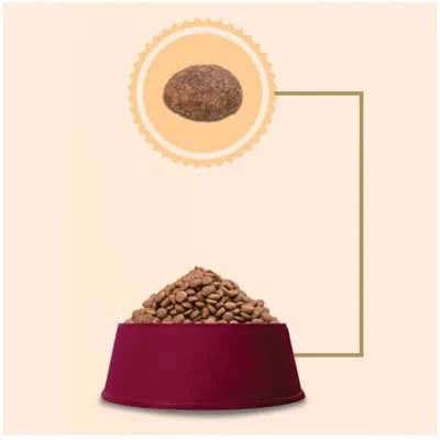 Ração GranPlus Menu Sênior Frango e Arroz para Cães Idosos Raças Médias e Grandes - Imagem 5