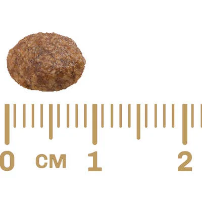 Ração GranPlus Menu Frango e Arroz para Cães Adultos Mini - Imagem 7