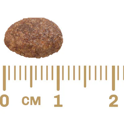 Ração GranPlus Menu Sênior Frango e Arroz para Cães Idosos Raças Médias e Grandes - Imagem 4