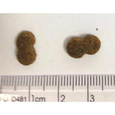 Ração Premier Golden Formula Cães Sênior Mini Bits Frango e Arroz - Imagem 6